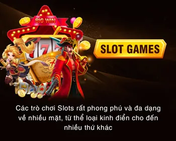 Các môn thể thao phổ biến để cá cược
